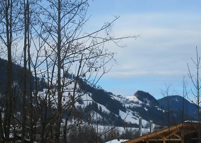 Erharter 아파트 키츠부헬